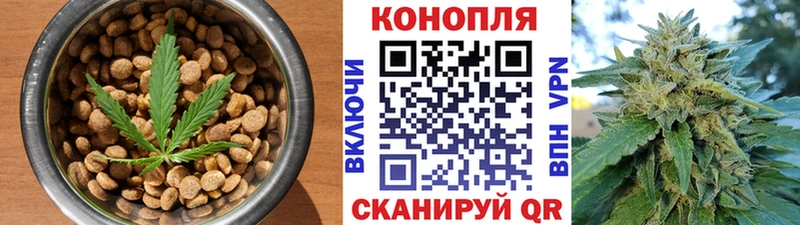 Cannafood конопля  Каргополь 