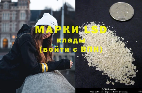 spice Медвежьегорск