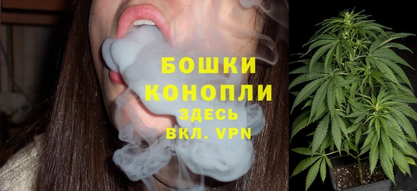 Альфа ПВП Лиски