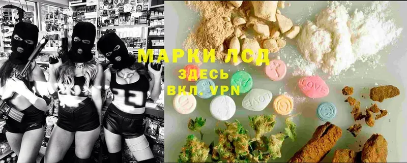 Лсд 25 экстази ecstasy  Каргополь 