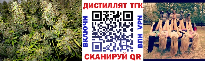 дарк нет как зайти  Каргополь  ТГК Wax  что такое  